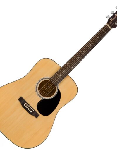 acoustic guitar