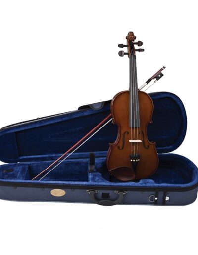 violin and case